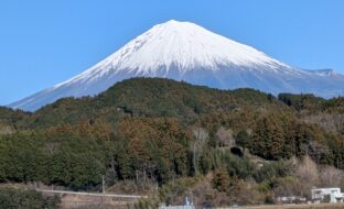 ２０２６年　新年明けましておめでとうございます。